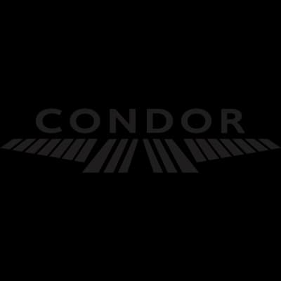Condor Flight System